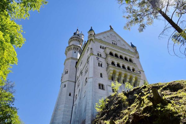 楼宇自控系统，午夜精品福利视频建筑，高效管理，智能化，信息技术